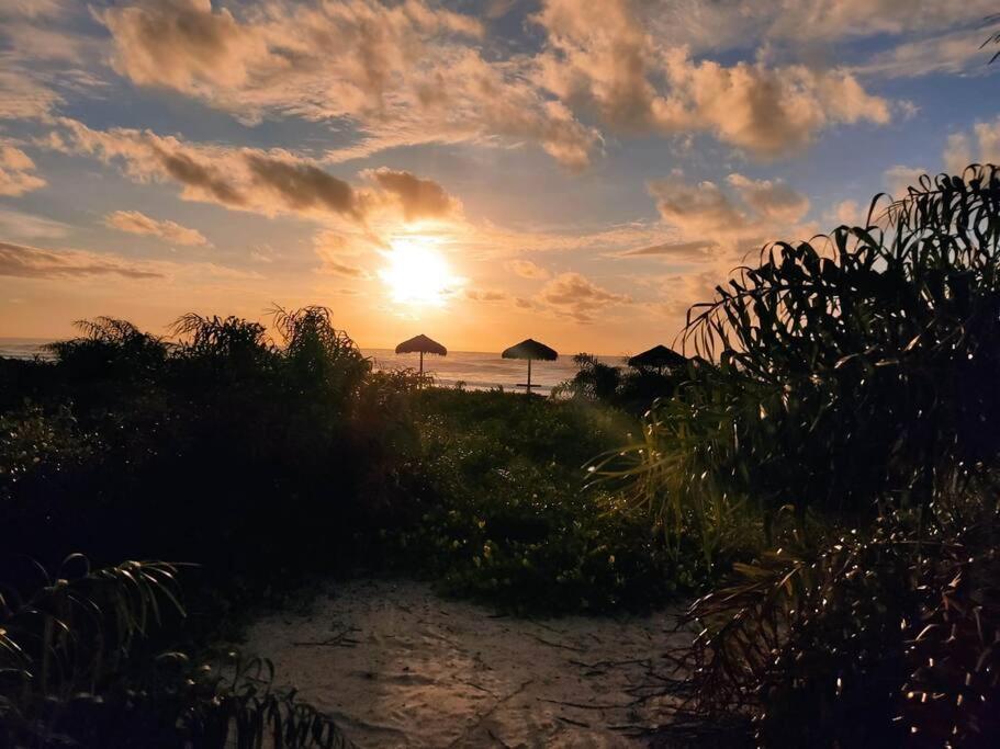 Ap Beira Mar Em Ilheus Apartment ภายนอก รูปภาพ